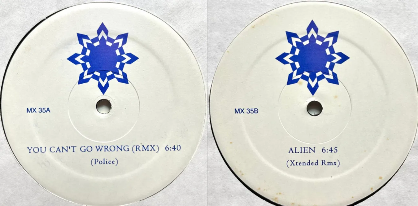 The Police Sting – You Can't Go Wrong  Alien HOUSE MIX